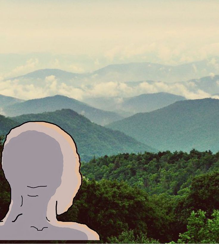 true beauty is in nature and you